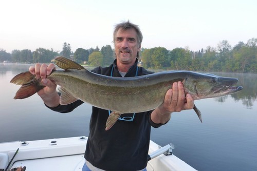 New musky muskie northern - muskie,