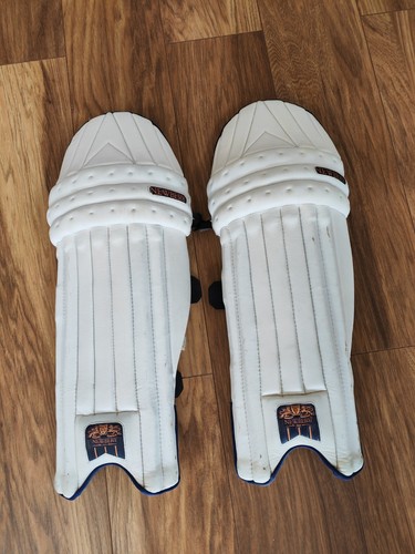 Newbery aegis youth - youth, cricket