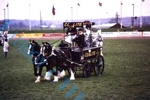 Coalite coal horse - coal,