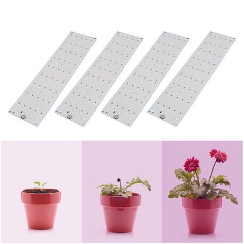 Plug cabinet plant grow - us,