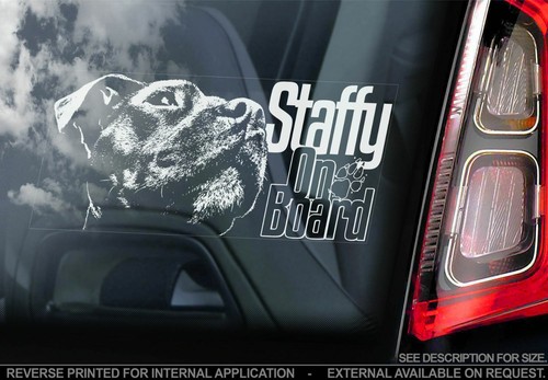 Staffy car sticker - car,