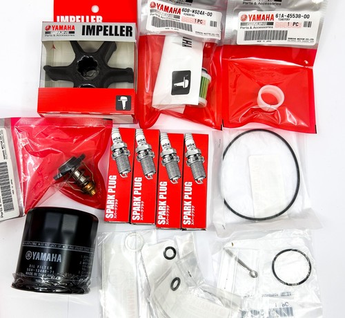 Genuine yamaha 300hr annual - yamaha,