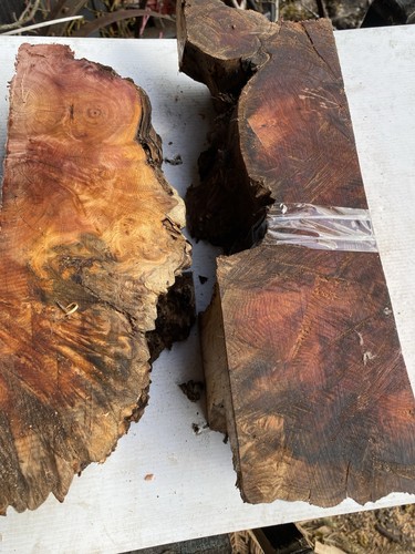 Yew wood - yew,x2,yew, yew,yew