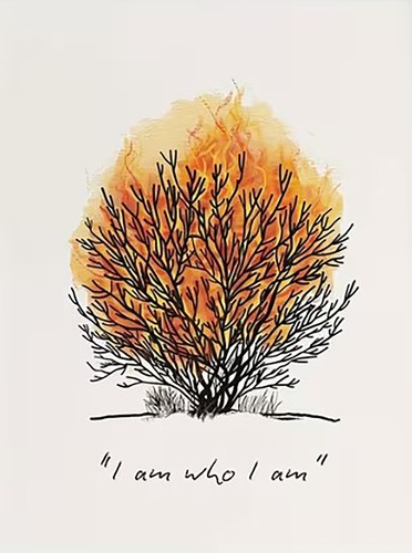 Burning bush christian print - bush,