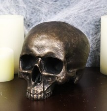 Ebros Pirate Treasure Relic