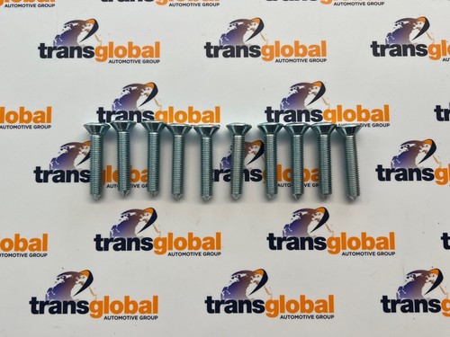 Door hinge bolts screws x10 - hinge,