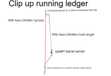 10 x Clipped up running ledger