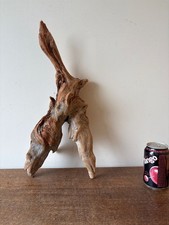 Driftwood piece pointed - driftwood, "y"