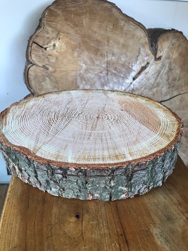 Rustic log - 15”-16",