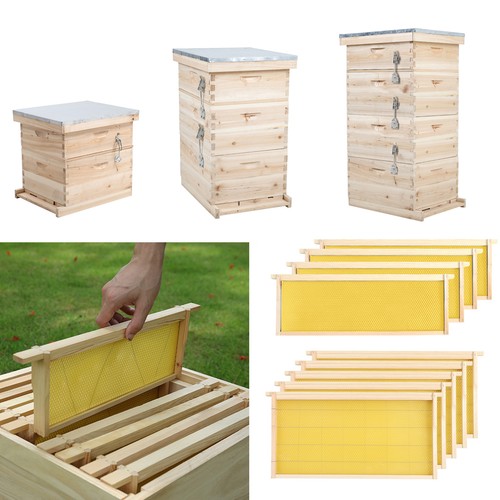 Tier langstroth beehive - 2-4,