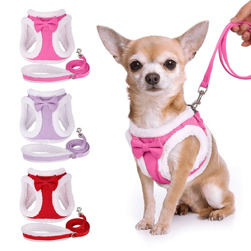 Cute dog cat harness and - cute,