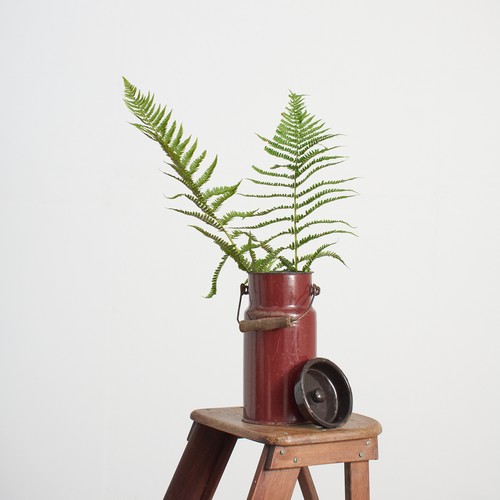 Antique vintage rustic - vintage,