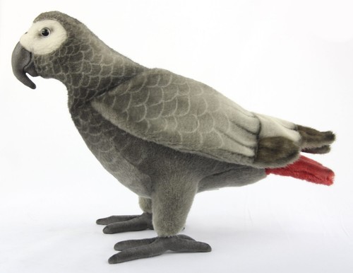 African grey parrot soft toy - soft,