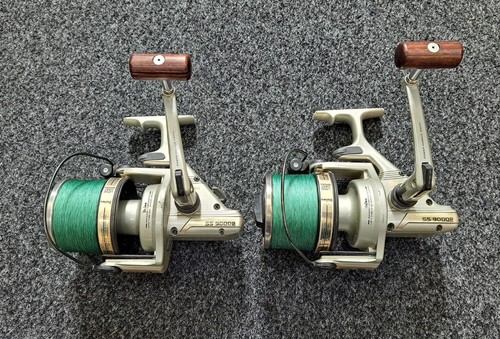 Daiwa longbeam ss - longbeam, 9000p