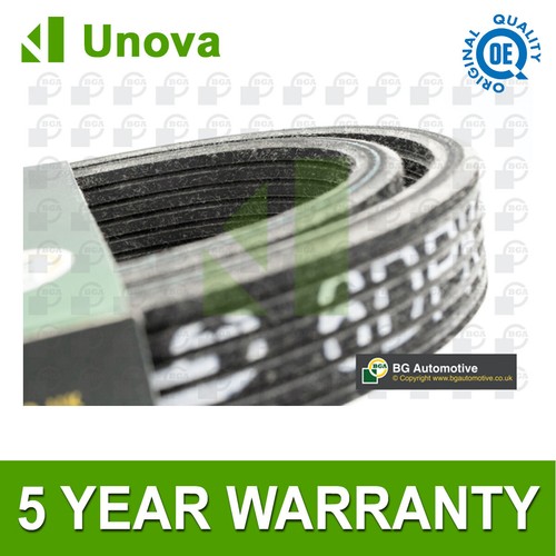 Ribbed drive belt unova - unova, fits