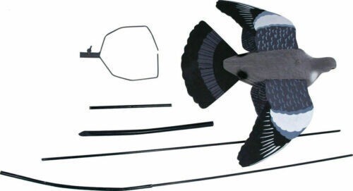 Ultimate flying pigeon - pigeon, decoy