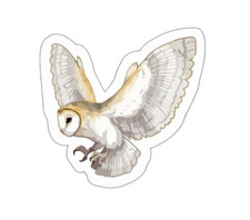 Barn Owl Sticker Decal
