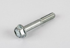 Suzuki Genuine TL1000 Model V