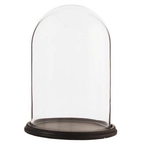 Glass display bell - glass,