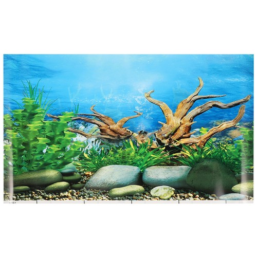 Fish tank wallpaper paper - wallpaper,