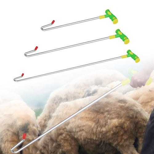 Sheep catching tool farm - sheep,