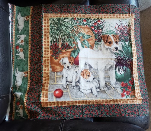 Very rare jack russell terrier - very,