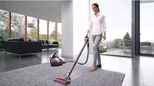 Dyson Big Ball Animal 2