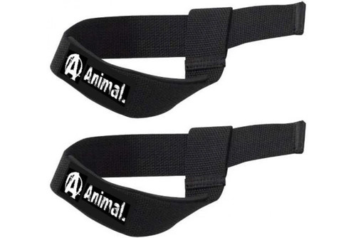 Universal nutrition animal - universal,