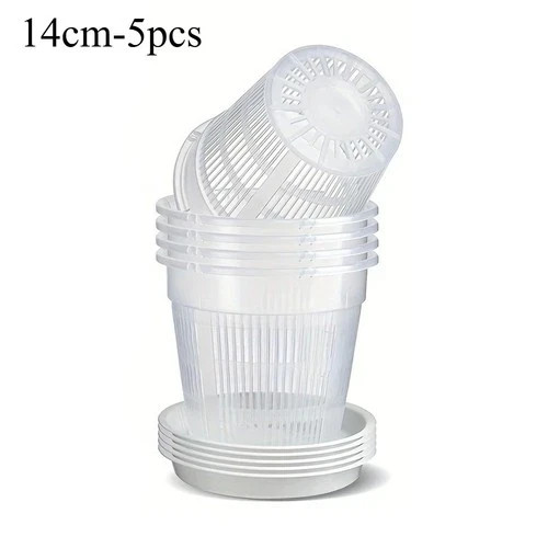 5pcs clear orchid - 5pcs,