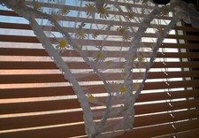 Sexy White and Daisy Frilly