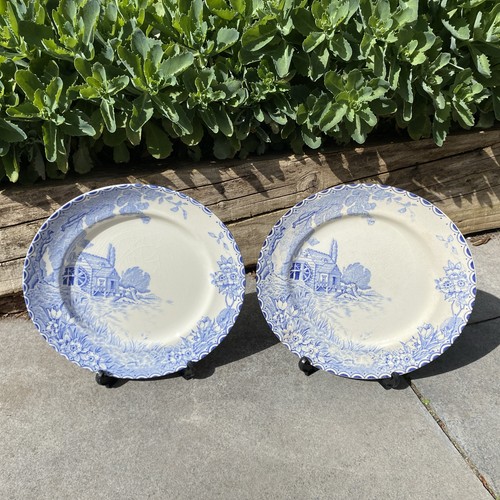 Crownford burslem plate - burslem,