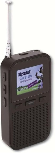 Handheld portable dab fm - portable,