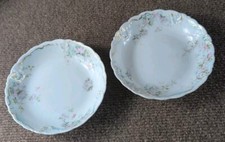 Theodore Haviland Limoges