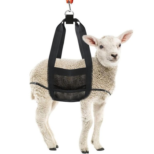 Calf sling for - sling,