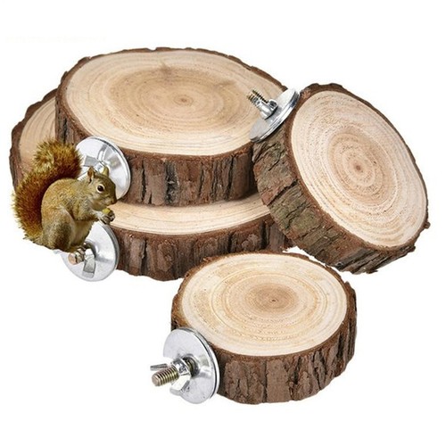 Wooden round parrot - round, bird