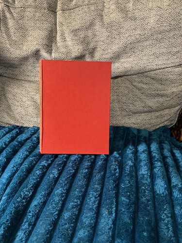 The big book fairy - the,