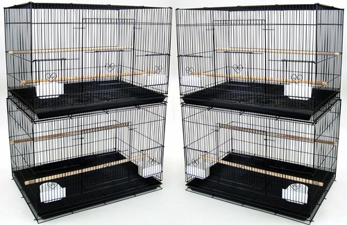 Lot large breeding - of,