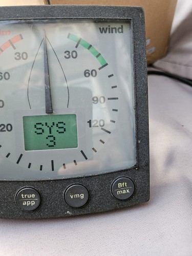 Raymarine