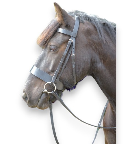 Leather horse hunter - hunter, bridle