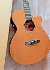 Tanglewood TRS4CE  Electro