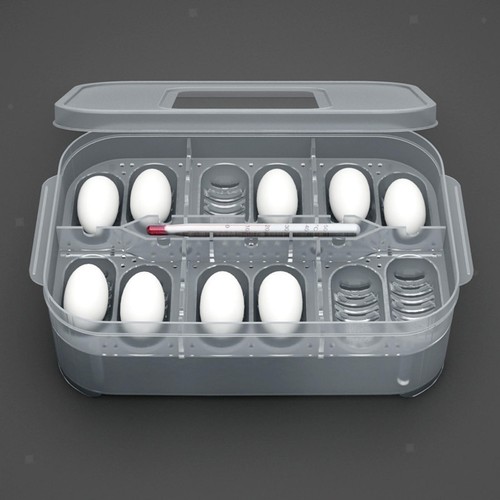 Plastic reptile egg incubation - plastic,