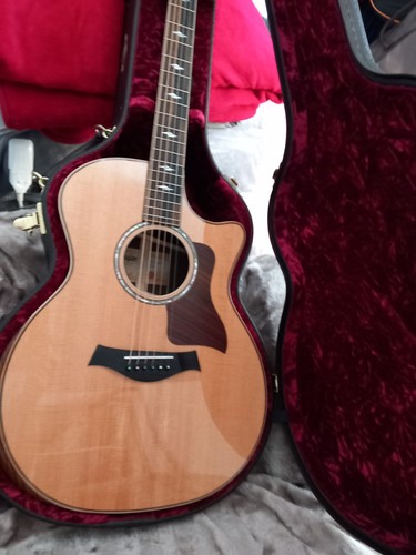 Taylor 814ce grand auditorium - taylor,