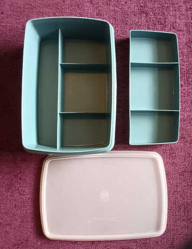Tupperware food craft - food,