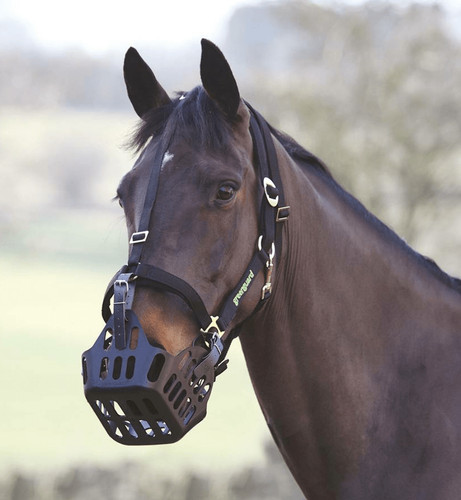 Shires greenguard grazing - shires,