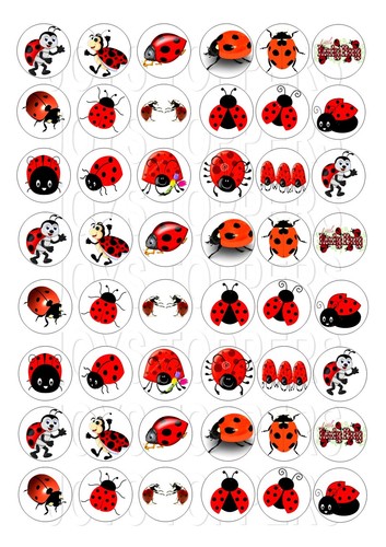 Mini ladybirds bugs - mini,