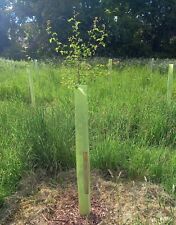 10 x 1.2m tall Tree Guards Shelters Deer Defenders + 1.2m tall wooden stakes