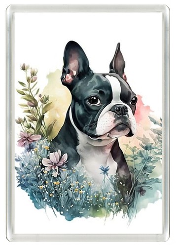 Boston terrier dog fridge - dog,