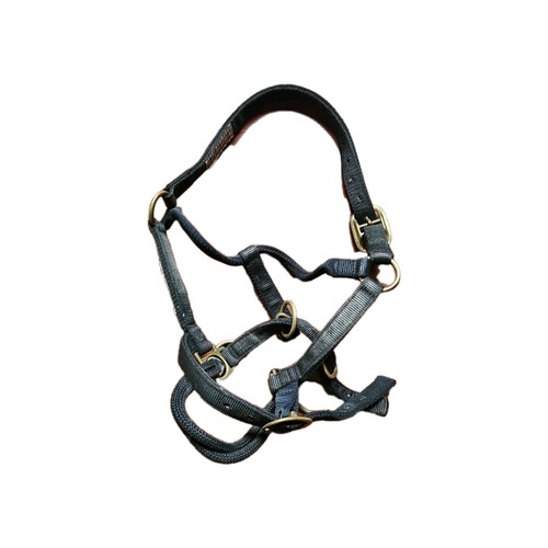 Monty roberts medium dually - roberts,