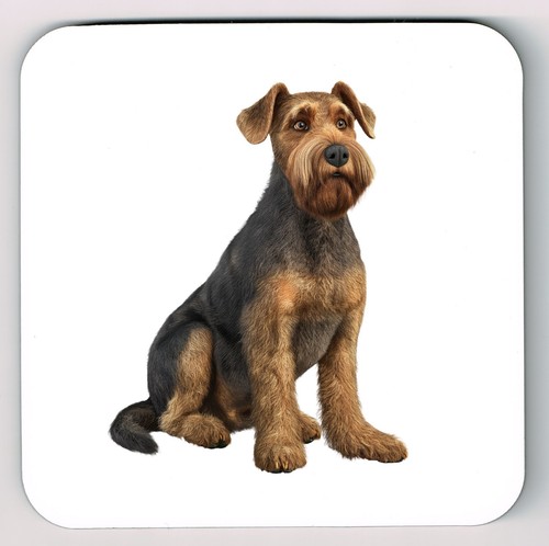 Airedale terrier watercolour - airedale,