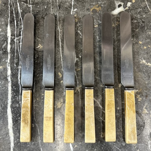 Antique bone handle dinner - bone,